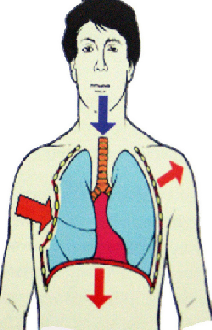 Handle Chest trauma causes and symptoms